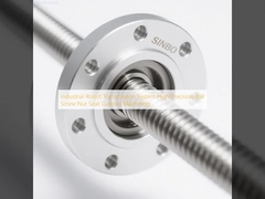 Система передачи промышленного робота высокоточная шаровая винтовая ореховая сетка специальная обработка