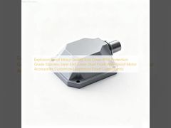 Взрывозащищенная крышка двигателя герметичная, класс защиты IP66, крышка из нержавеющей стали, пыленепроницаемая, водонепроницаемая, аксессуары для двигателя, взрывозащищенные компоненты по индивидуальному заказу