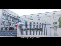 Синбо Интро